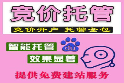 百度SEO推广公司案例汇编：实战优化策略全解析